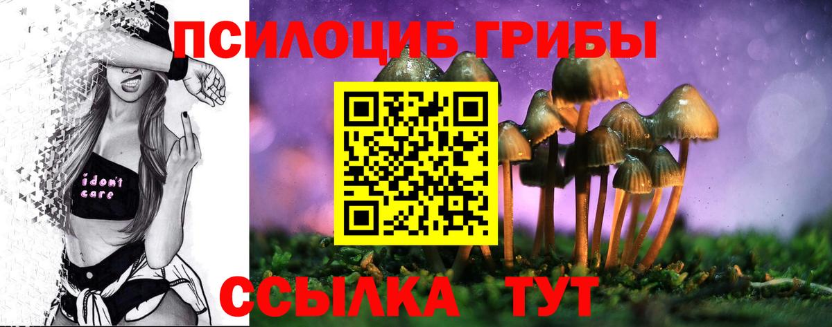 Псилоцибиновые грибы MAGIC MUSHROOMS  купить  сайты  Камень-на-Оби  Вход с VPN  Галлюциногенные грибы мицелий 